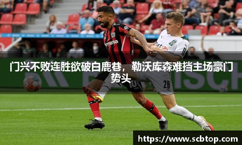门兴不败连胜欲破白鹿巷，勒沃库森难挡主场豪门势头